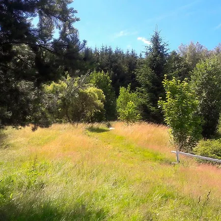 مزرعة للإقامة Wsiowa