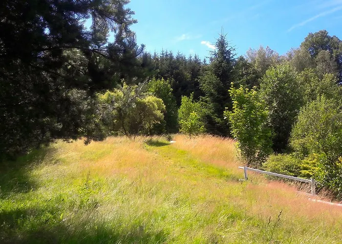 مزرعة للإقامة Wsiowa