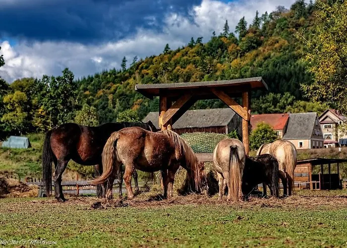 Alloggio per agriturismo Wsiowa *