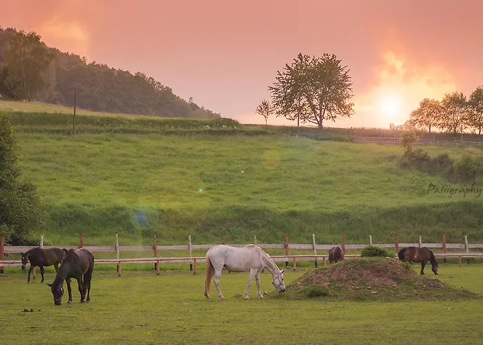 Alloggio per agriturismo Wsiowa Scinawka Gorna